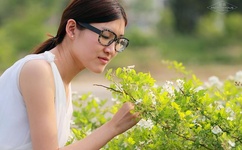 花环夫人主题曲